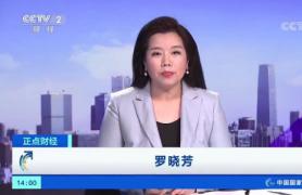 央视《中国证券》节目主持人罗晓芳